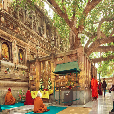 Bodhi Day Package Tour